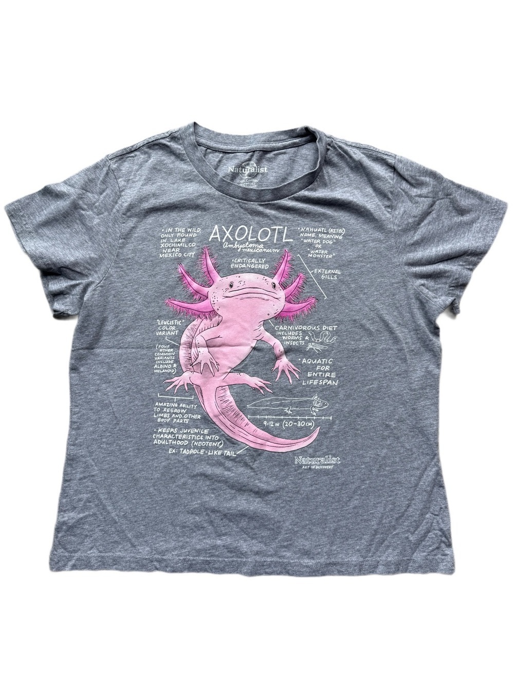 Axolotl Graphic T-Shirt - Pink on Gray